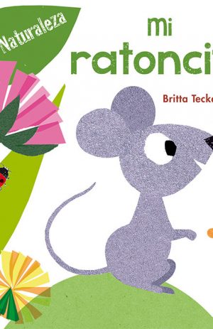 RATONCITO, MI