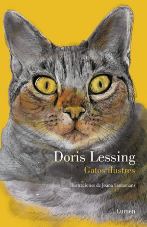 GATOS ILUSTRES