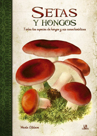 SETAS Y HONGOS -OBRAS SINGULARES-