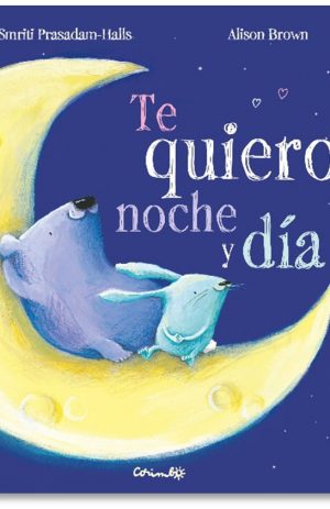 TE QUIERO NOCHE Y DIA